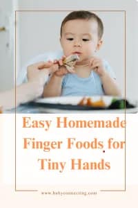 Easy Homemade Finger Foods for Tiny Hands