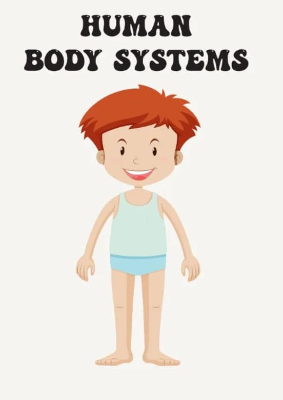 Head, Shoulders, Knees, and Toes: Human Body Learning for Little Ones - Image 8