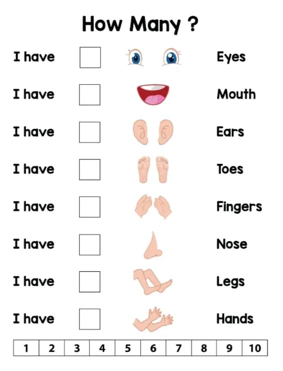 Head, Shoulders, Knees, and Toes: Human Body Learning for Little Ones - Image 3