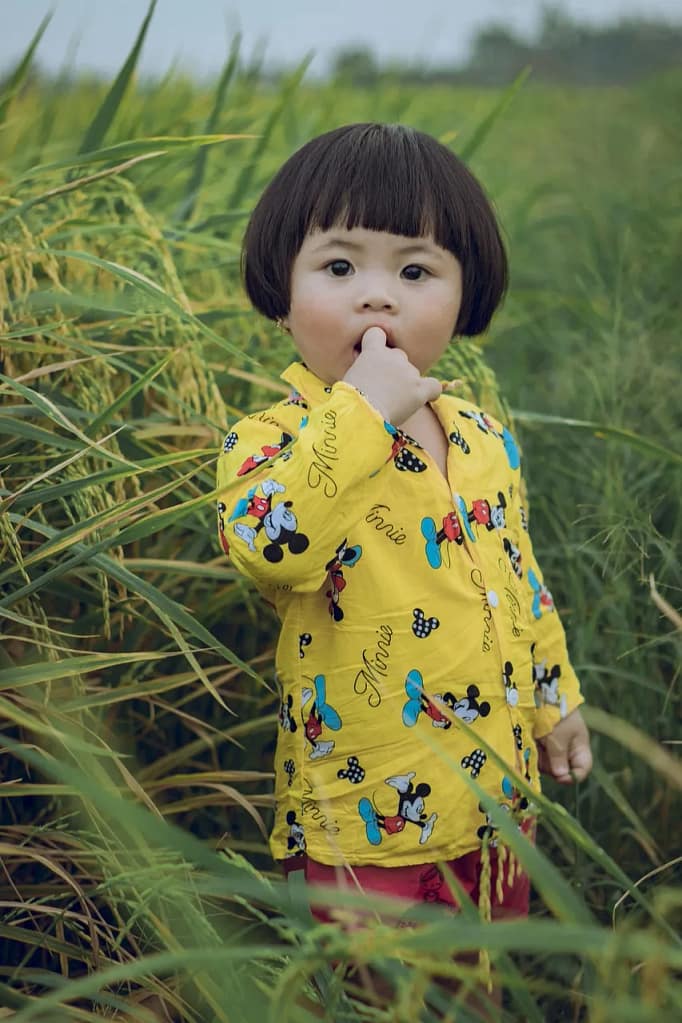 toddler, child, rice field, paddy field, asia, kid, toddler, child, child, child, paddy field, asia, asia, kid, kid, kid, kid, kid