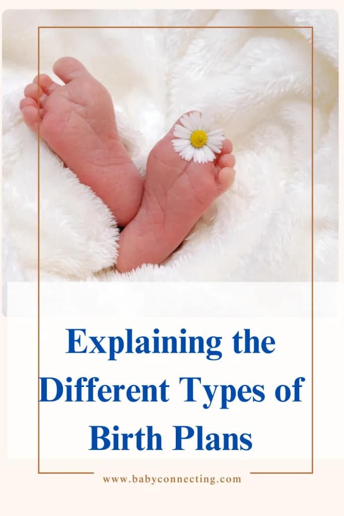 Explaining the Different Types of Birth Plans