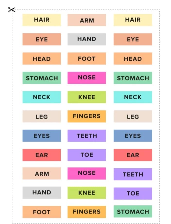 Head, Shoulders, Knees, and Toes: Human Body Learning for Little Ones - Image 4