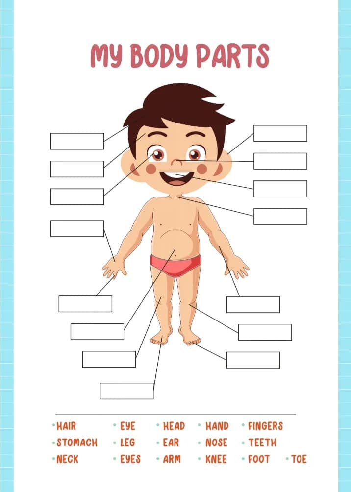Head, Shoulders, Knees, and Toes: Human Body Learning for Little Ones - Image 6