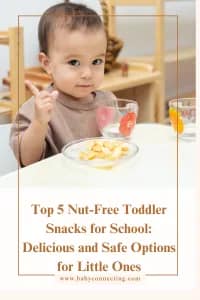 Top 5 Nut-Free Toddler Snacks for School: Delicious and Safe Options for Little Ones